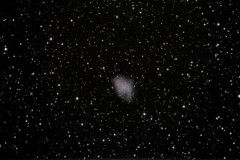 NGC 1952 (Messier 1), The Crab Nebula is a supernova remnant in the constellation Taurus. FOV is approximately 51' x 34'. This is twenty-six 300 second guided subs taken from Darling Hill Observatory on December 4th, 2021. A Canon EOS7D camera at ISO3200; iOptron CEM40G mount with a Celestron 127mm Mak-Cas f/12, FL 1500mm.