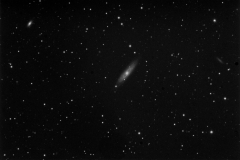 NGC7184, Barred Spiral Galaxy, Oct, 2008