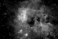 IC410, Tadpole Nebula, Feb, 2009