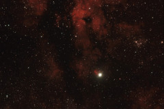 IC1318_50SF_NBZ_f2_12s