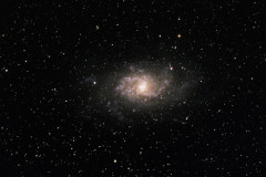 M33