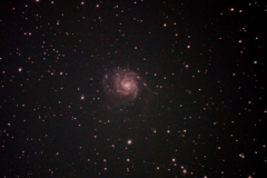 M101