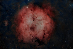 IC1396