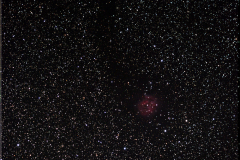 IC5146, Cocoon Nebula, Aug, 2009