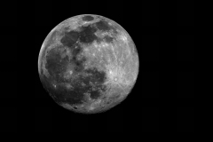 Full Moon, Nov, 2009