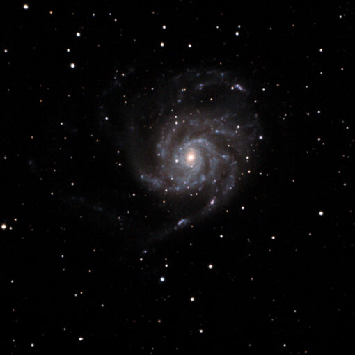 M101